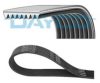SCANI 2968115 V-Ribbed Belts